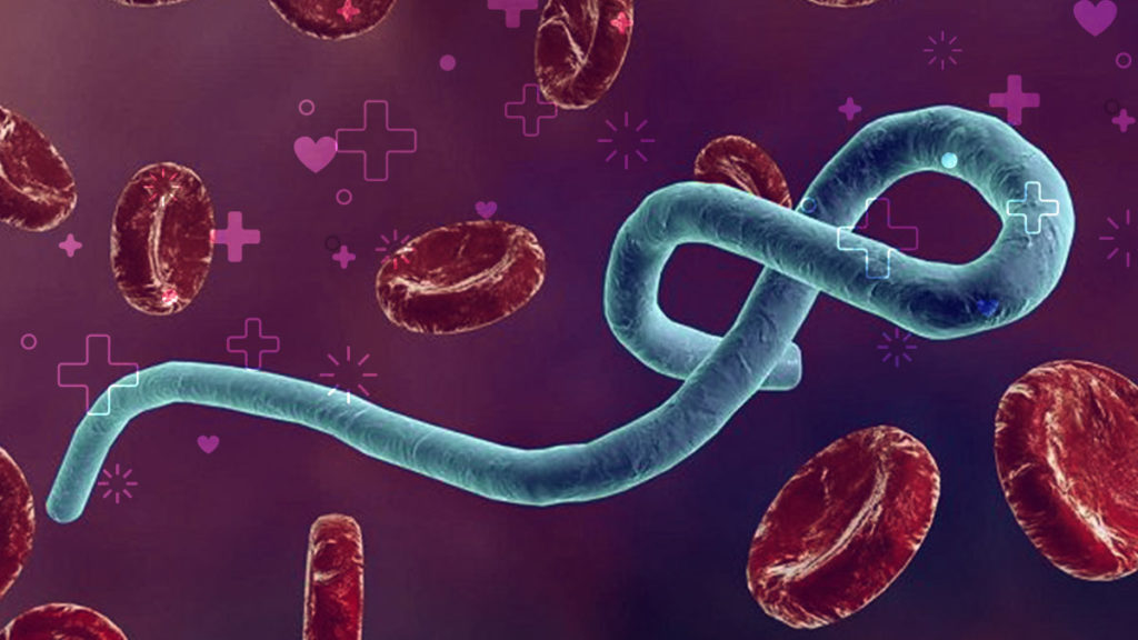 Cuatro países de África se protegen contra el ébola